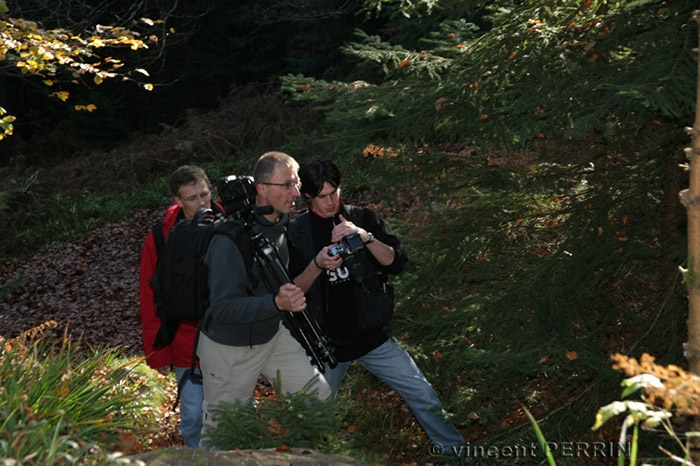 Regarde ma photo.jpg